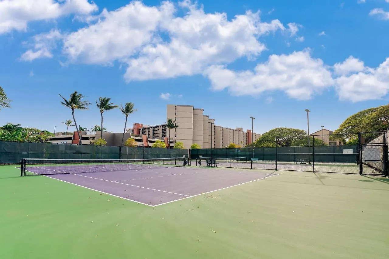 Holiday home Papakea L208 Villa Kahana United States